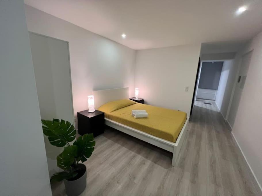Opo - Fantastic Studio With Garden Порту Номер фото